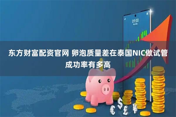 东方财富配资官网 卵泡质量差在泰国NIC做试管成功率有多高