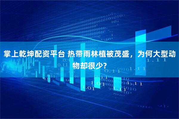 掌上乾坤配资平台 热带雨林植被茂盛，为何大型动物却很少?