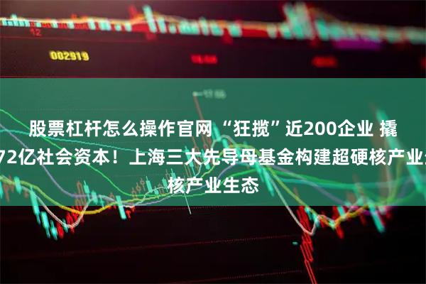股票杠杆怎么操作官网 “狂揽”近200企业 撬动172亿社会资本！上海三大先导母基金构建超硬核产业生态