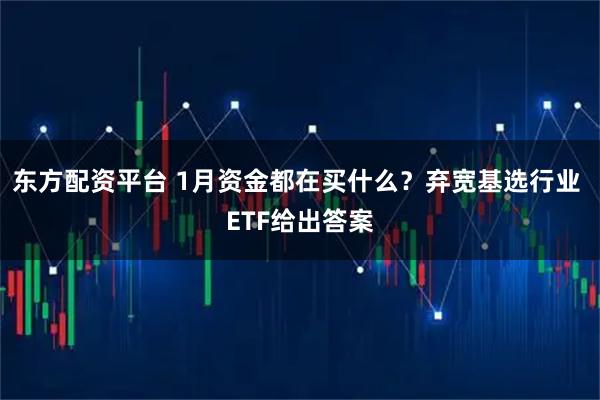 东方配资平台 1月资金都在买什么？弃宽基选行业 ETF给出答案
