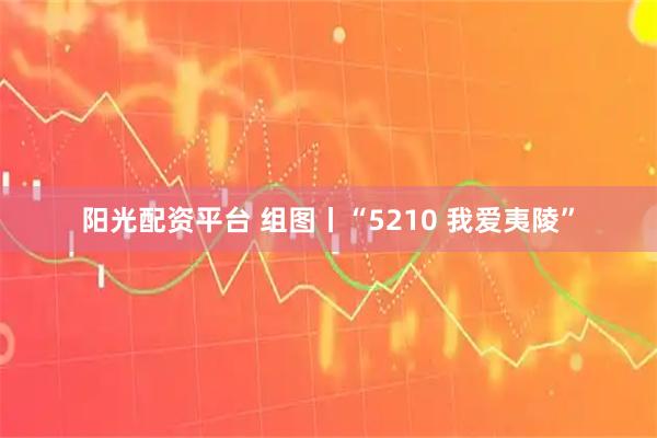 阳光配资平台 组图丨“5210 我爱夷陵”