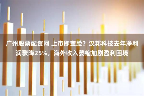 广州股票配资网 上市即变脸?汉邦科技去年净利润骤降25%,海外收入萎缩加剧盈利困境