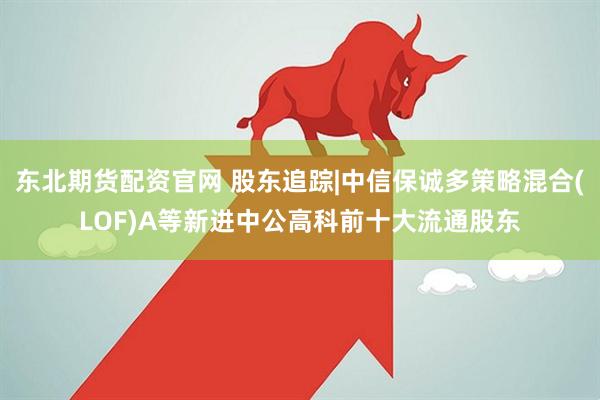 东北期货配资官网 股东追踪|中信保诚多策略混合(LOF)A等新进中公高科前十大流通股东