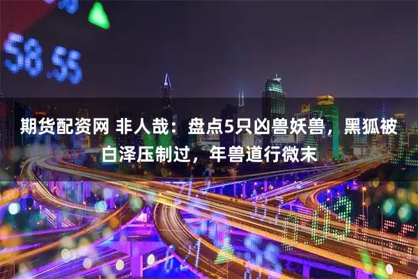 期货配资网 非人哉：盘点5只凶兽妖兽，黑狐被白泽压制过，年兽道行微末